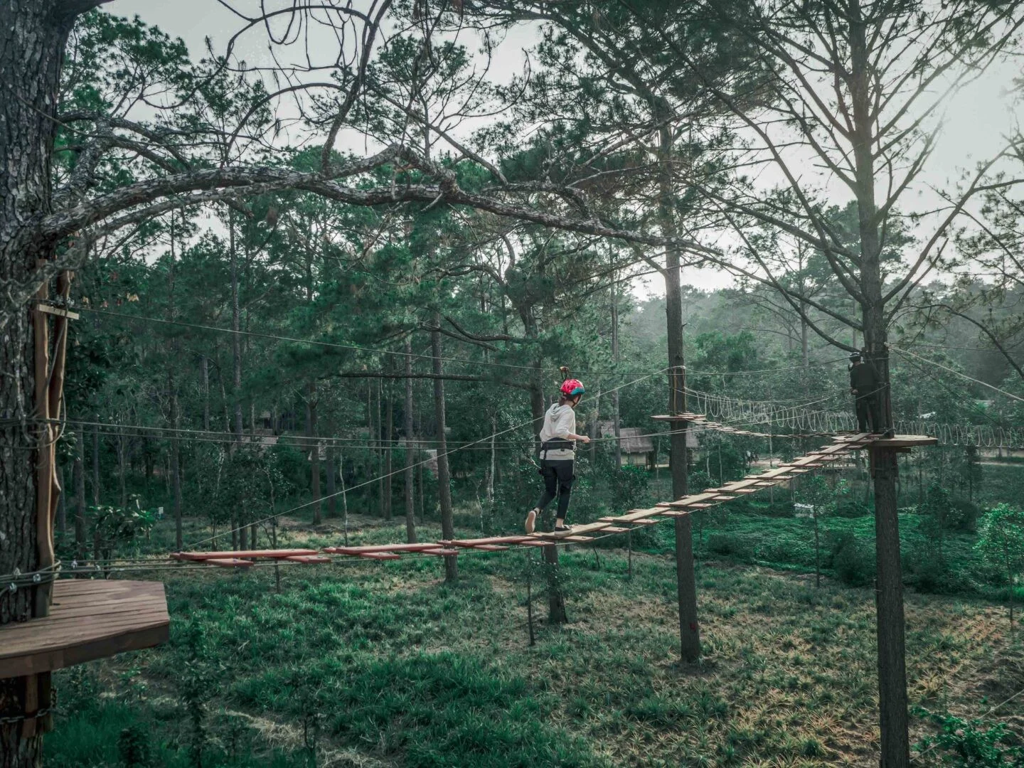View in Cambodia