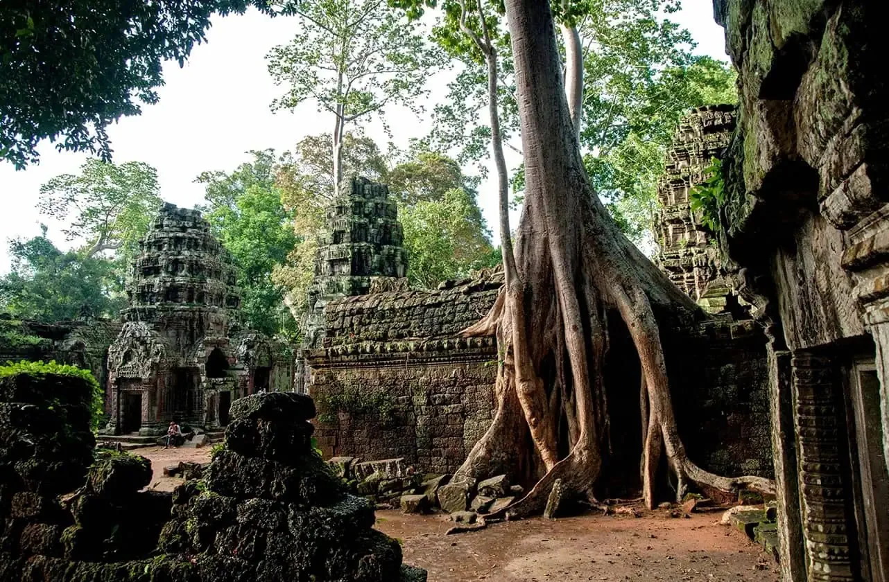 View in Cambodia