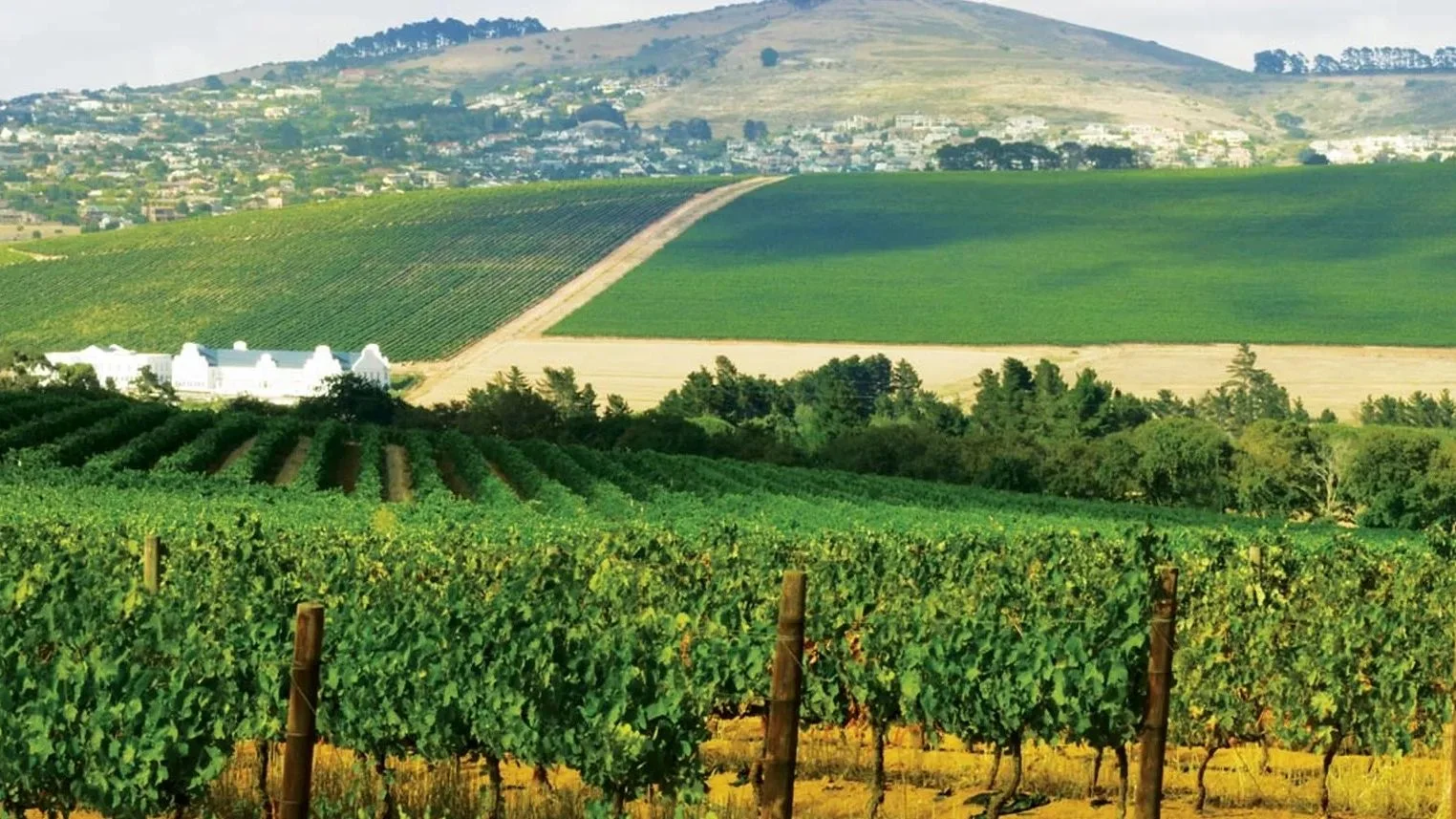 Durbanville Property: Family Yields at 6.8% to 8%