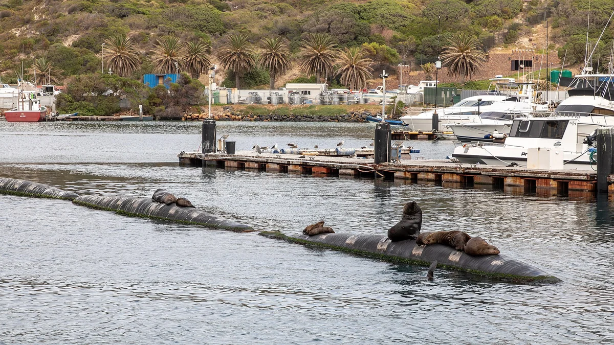 Hout Bay Property: The Valley's Infrastructure