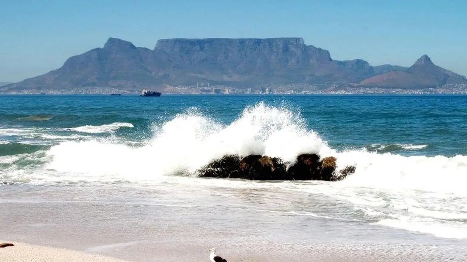 Table View Property, Cape Town: West Coast Yields
