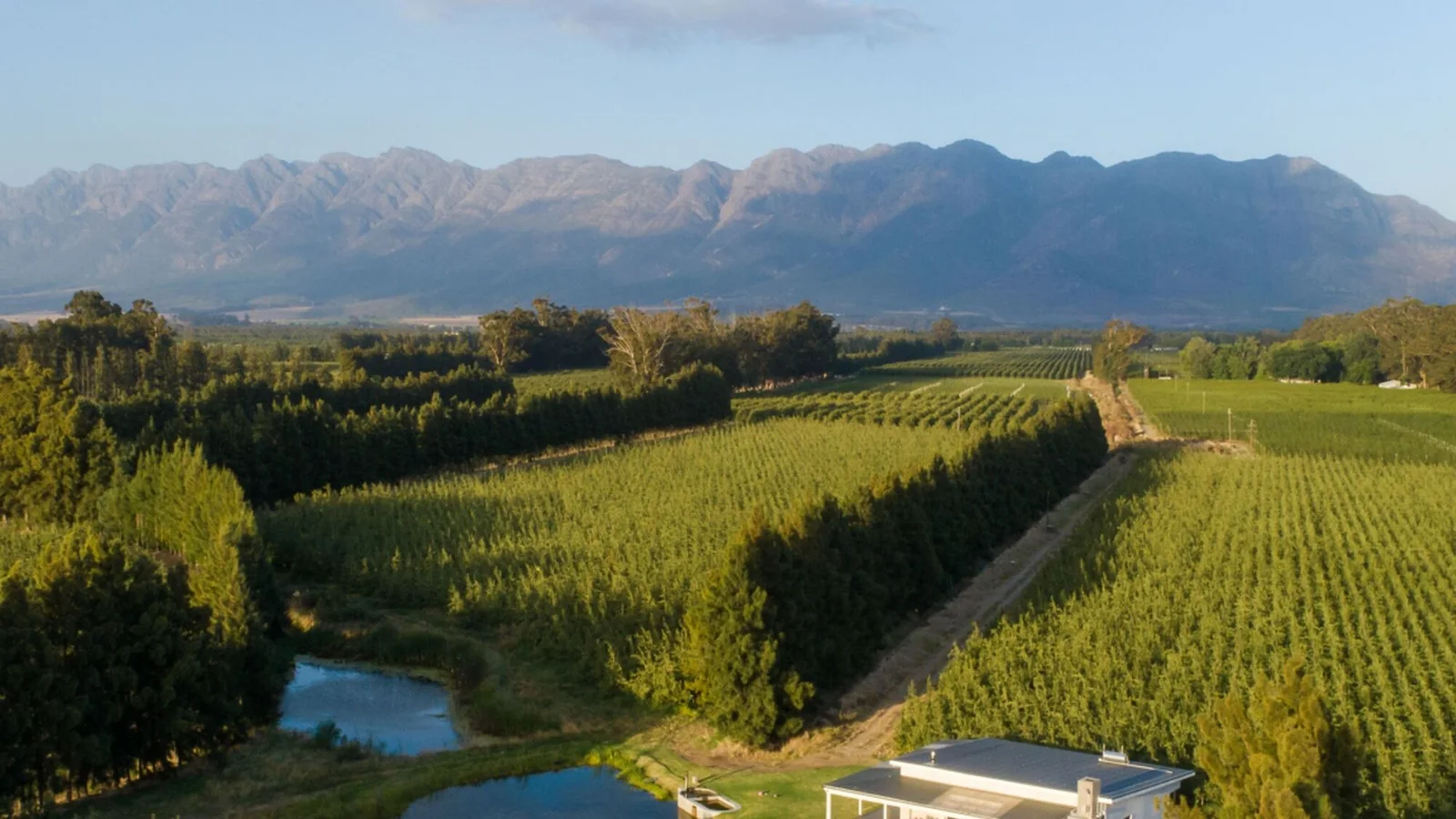 Paarl vs Stellenbosch 2026: One Town Can Still Grow