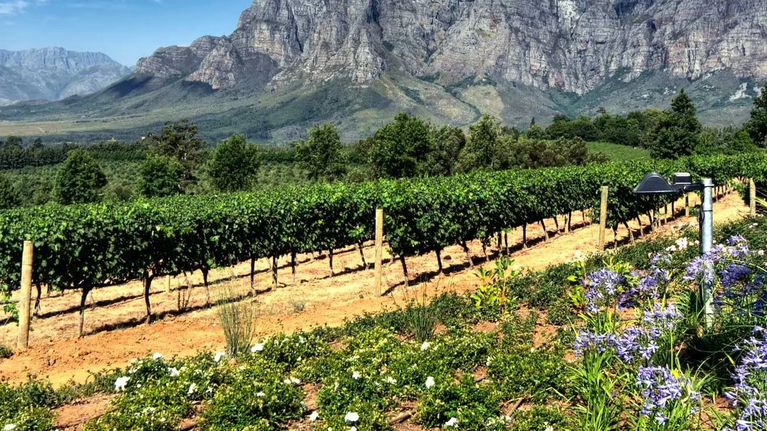 Buying Cape Town Property as a Foreigner: No Visa Needed