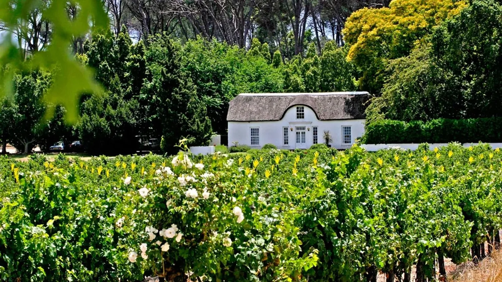 Power of Attorney South Africa 2026, Remote Property Buy