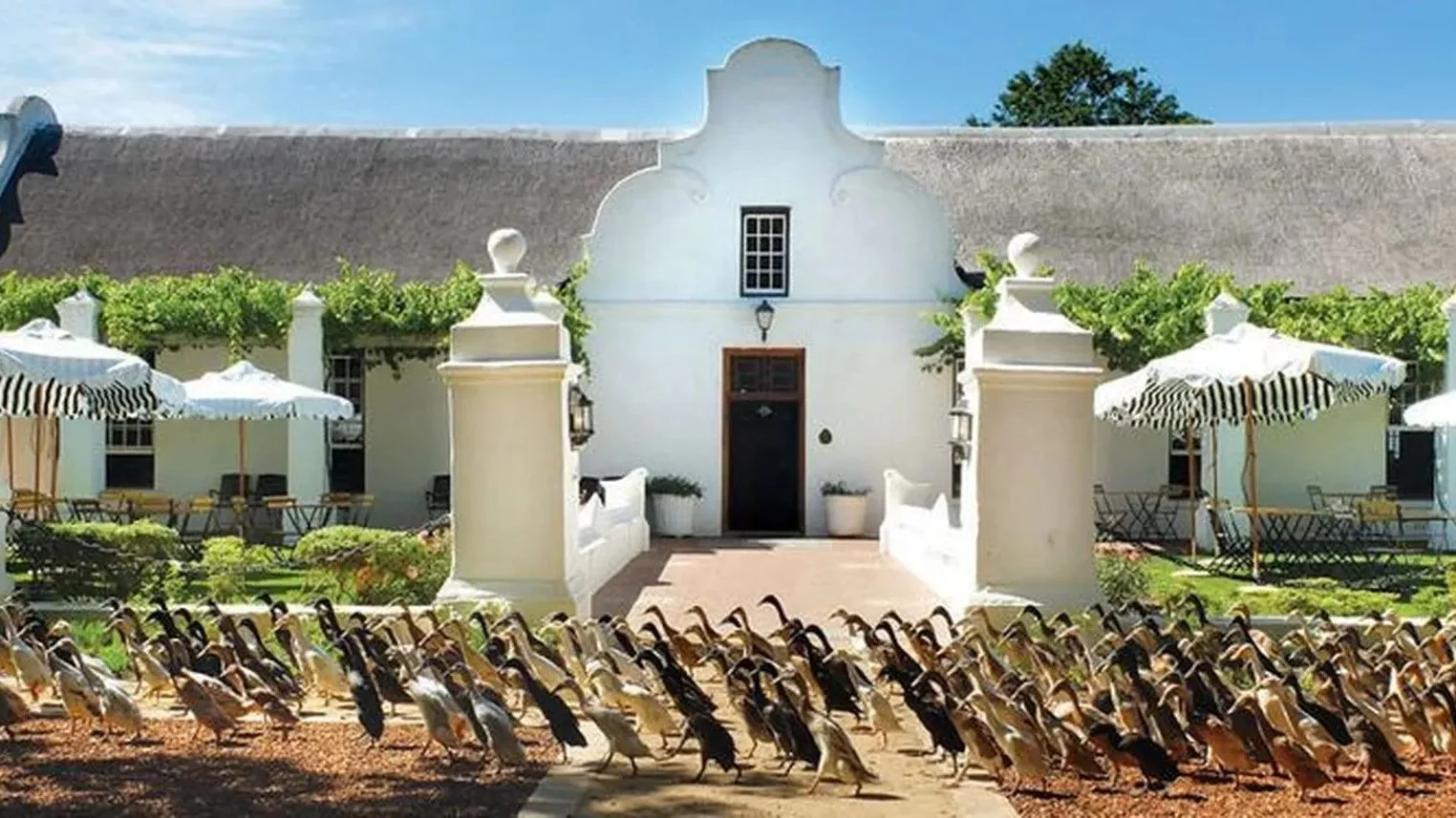 South Africa CGT Calculator for a Property Sale 2026