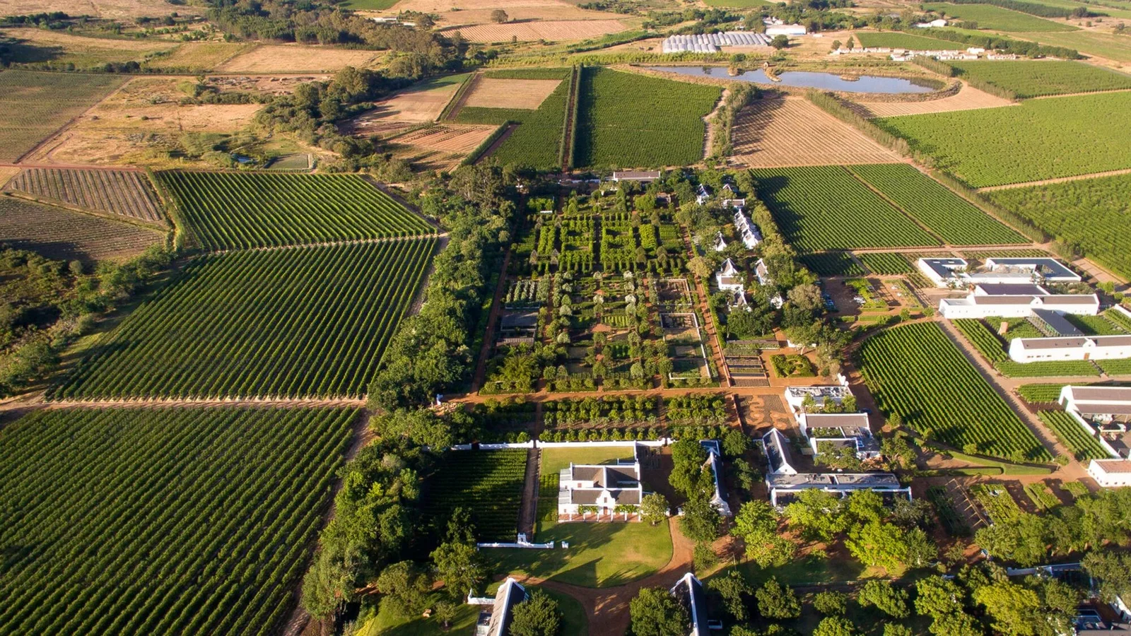 South Africa Exchange Control on Property: 2026 Guide
