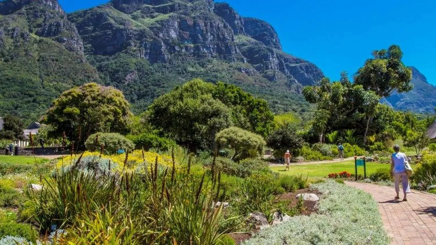 Southern Suburbs Cape Town: School-Belt Property 2026