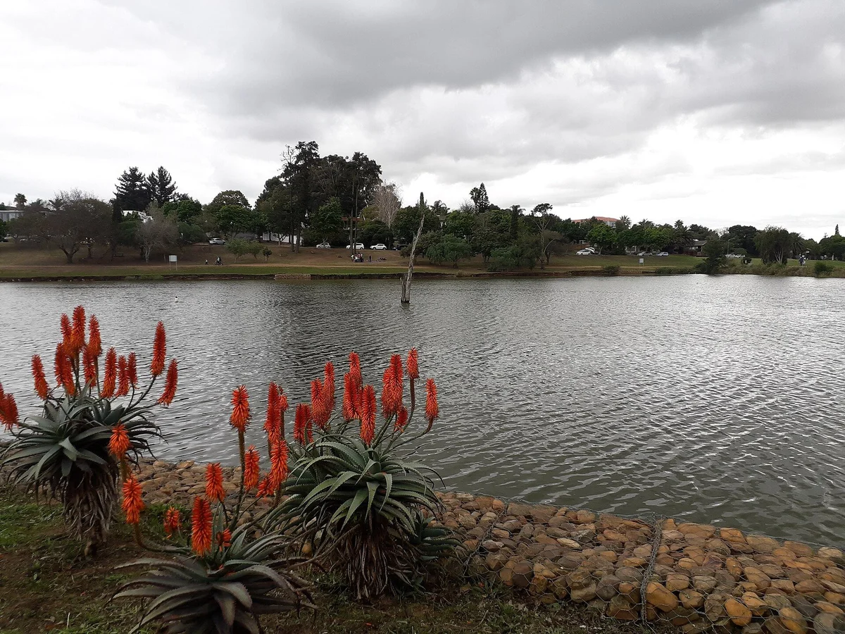 Clara Anna Fontein Durbanville: Three Tenures, One Estate