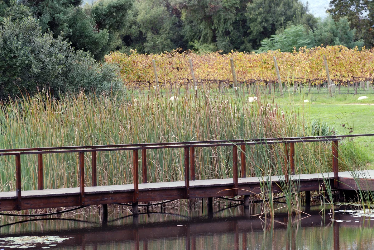 Pearl Valley Val de Vie: Golf Estate Investor Guide