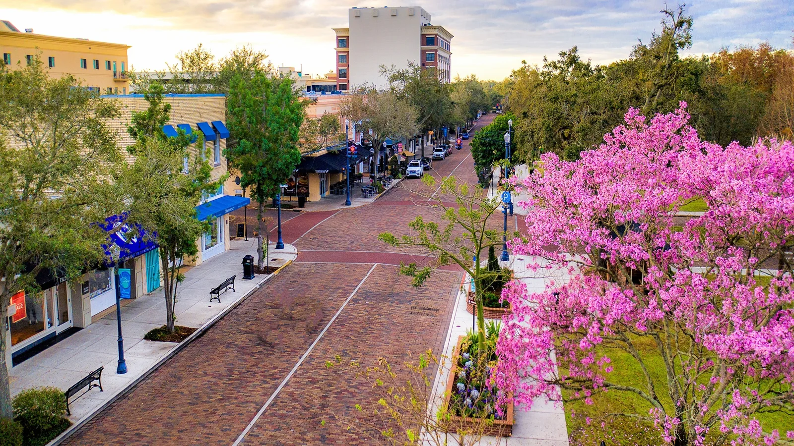 Aerial view of brick-paved Park Avenue in Winter Park, Orange County, with pink flowering trees in bloom.