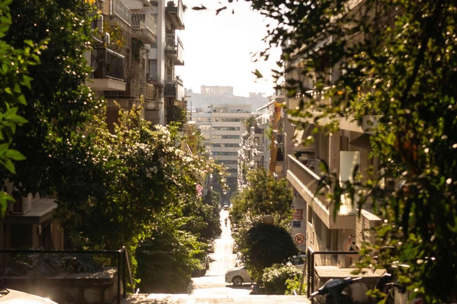 Tree-lined street between apartment blocks in central Athens