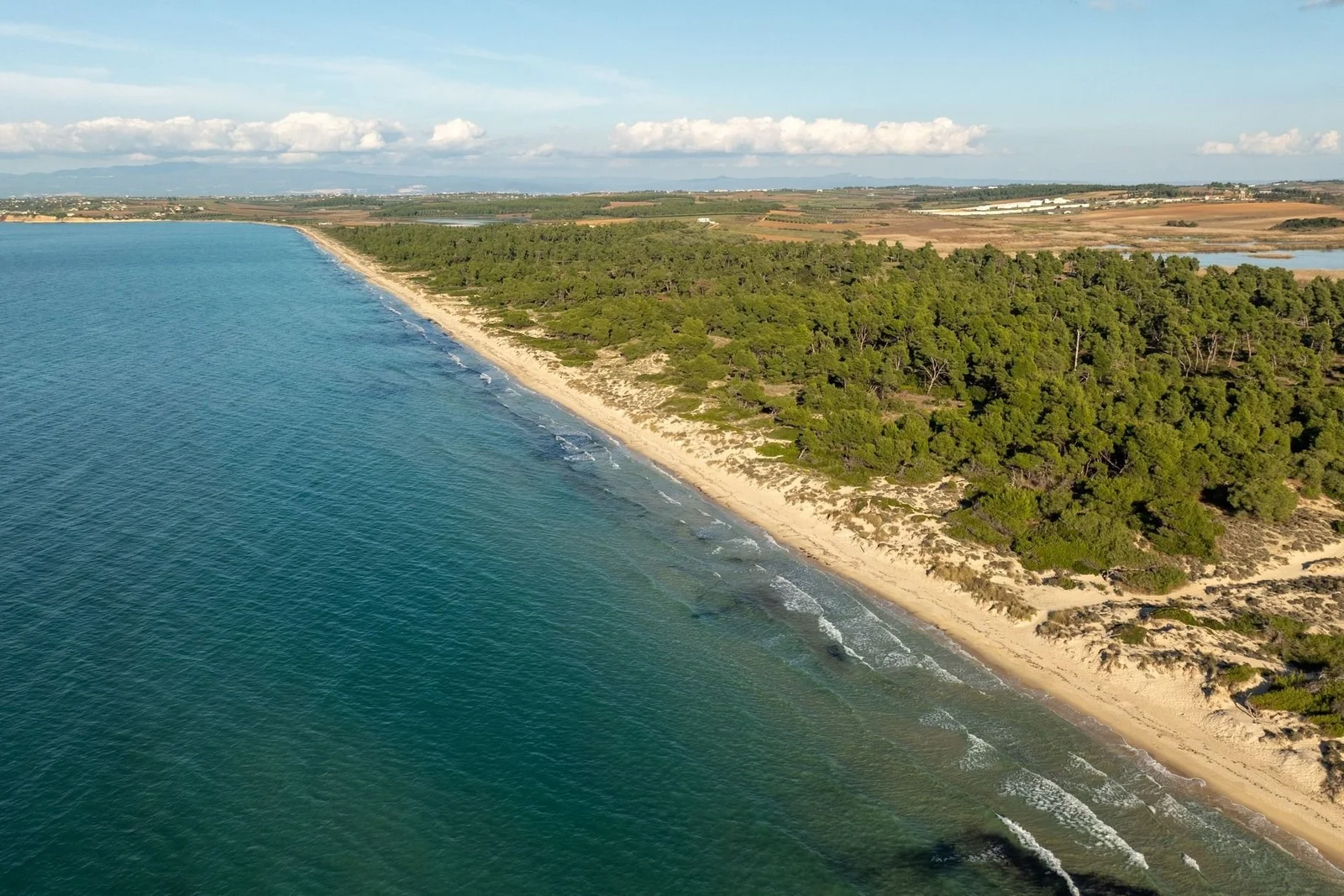 Halkidiki Property Investment Guide 2026: Coast & ROI