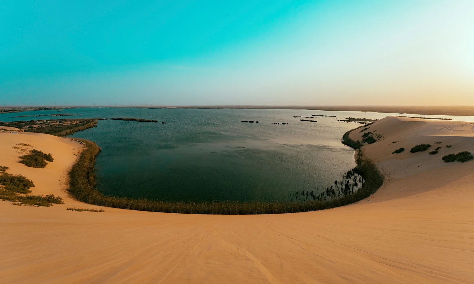 View in Saudi Arabia
