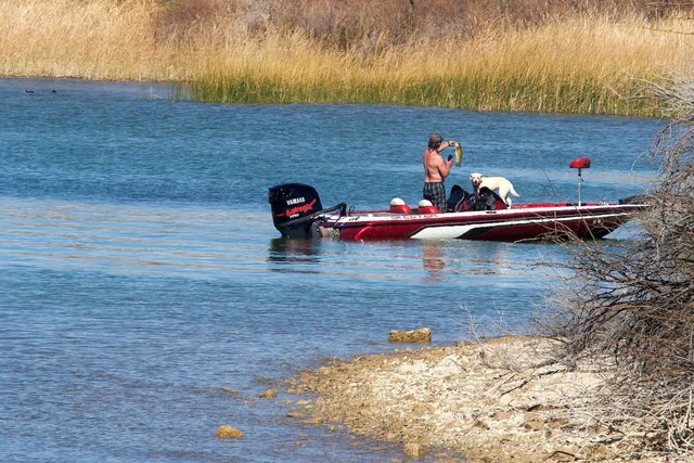 Anglers aboard a bass boat on Lake Havasu