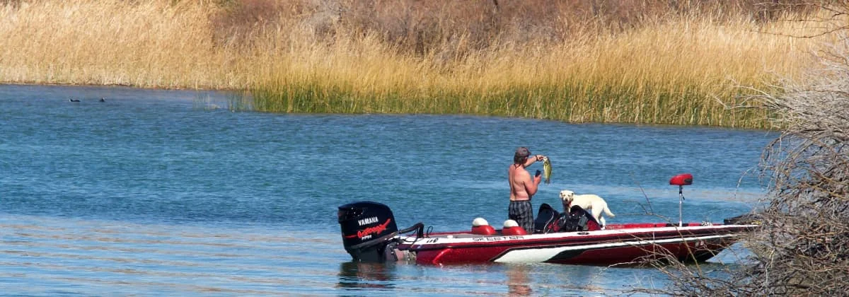 Anglers aboard a bass boat on Lake Havasu