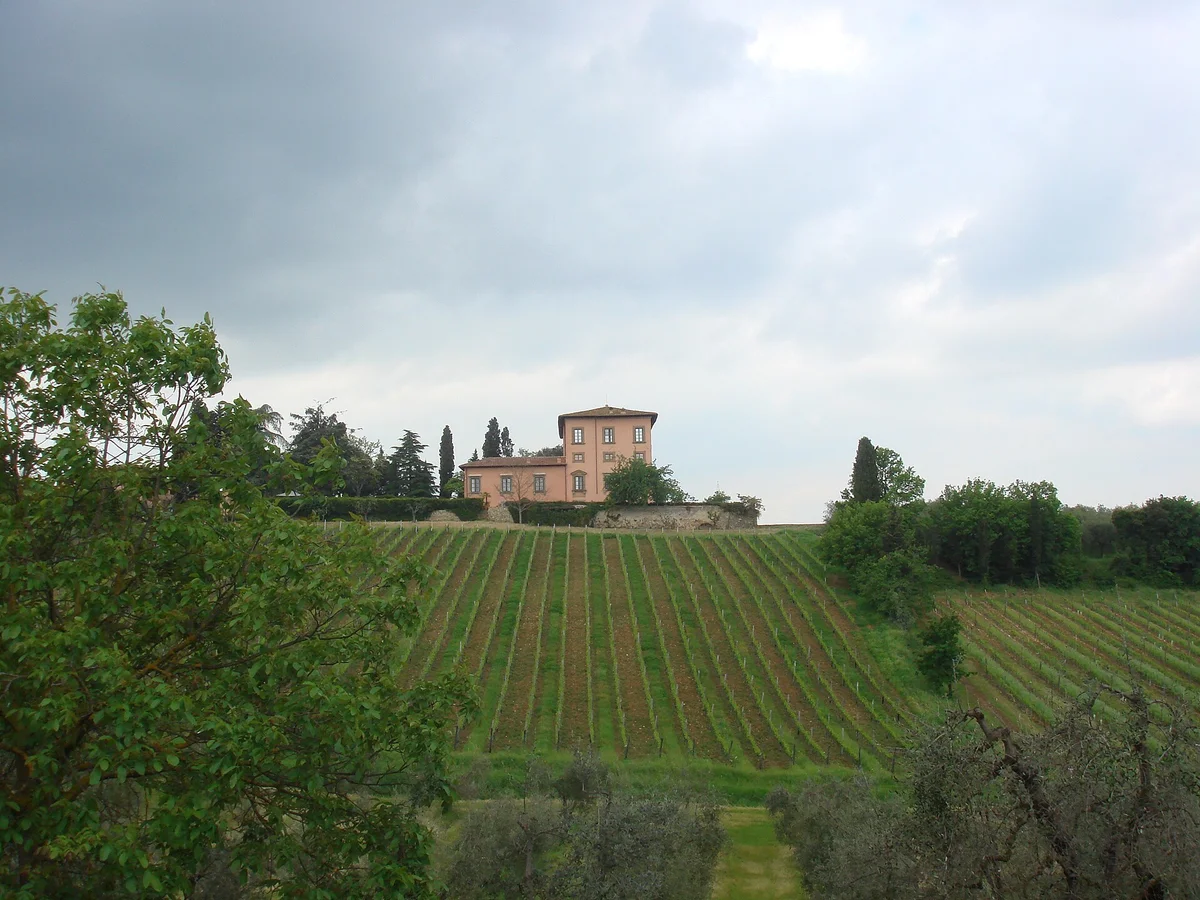 Buying a Vineyard Estate in Chianti: What Actually Transfers