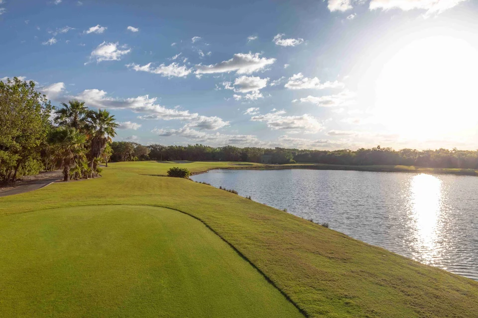 Golf 2019 14 11zon
