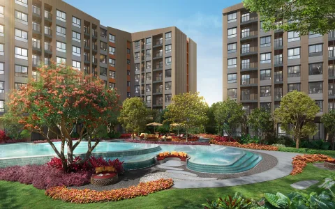 Dcondo Cove Phuket 2026: Condo from 2.43M in Kathu