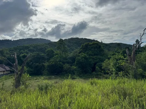 Green View Valley