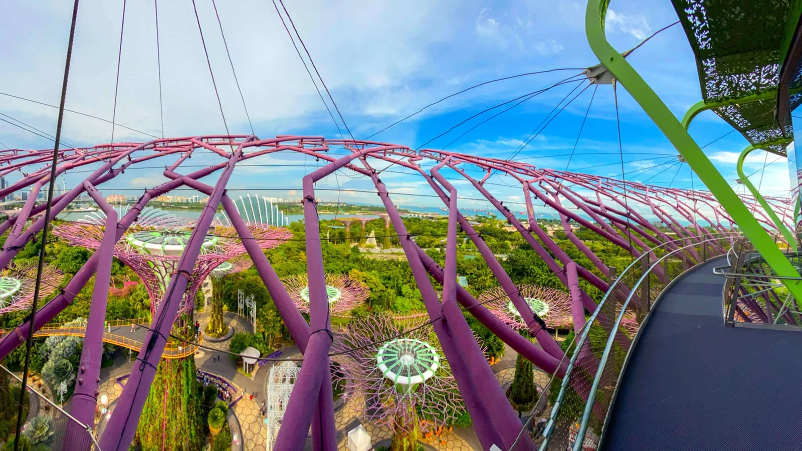 The Cloud Forest dome at Gardens by the Bay