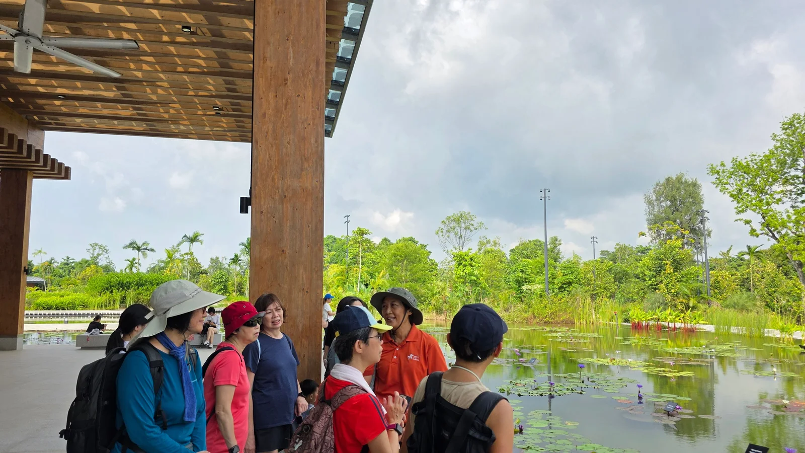 A wetland walk at Jurong Lake Gardens