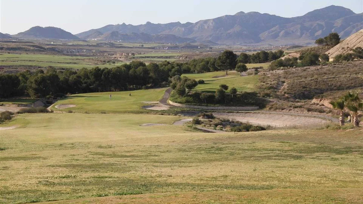 Property for Sale in Camposol, Spain: Prices and Buyer Guide