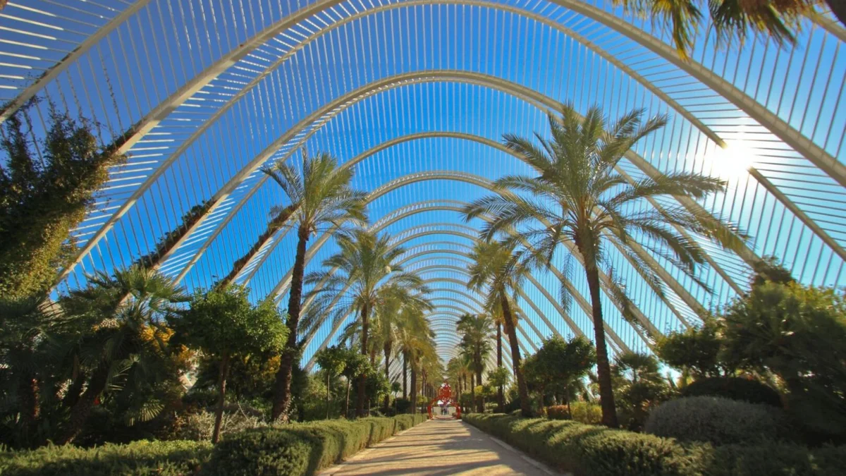 Valencia Property Market: ITP Reform, Yields, Districts